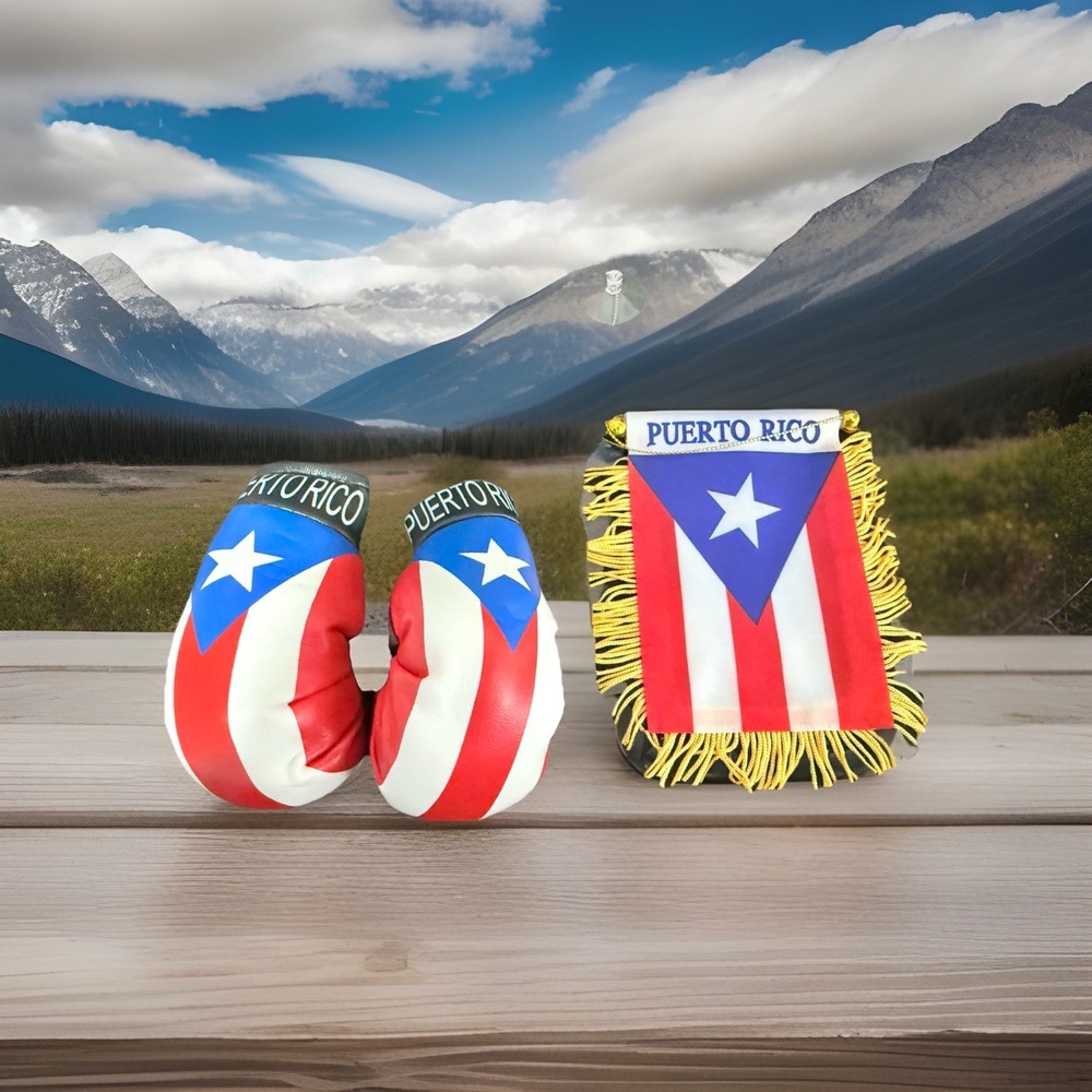 Puerto Rico Mini Banner 4x6 Flag Boxing Gloves Boricua Rican Collectible Set